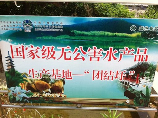 EM螃蟹養殖試驗初見(jiàn)成效