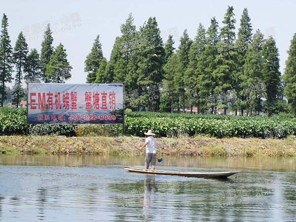 萬(wàn)眾期待的EM大閘蟹來(lái)啦！