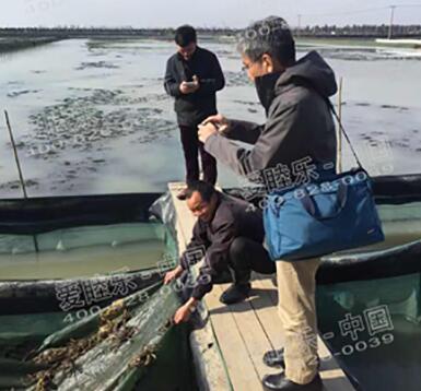 咱們EM菌種工作人員深入一線(xiàn)了解螃蟹養殖戶(hù)的經(jīng)營(yíng)狀況