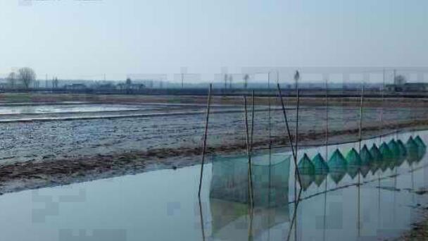 EM凈水產(chǎn)品在水產(chǎn)領(lǐng)域的應用不斷深入