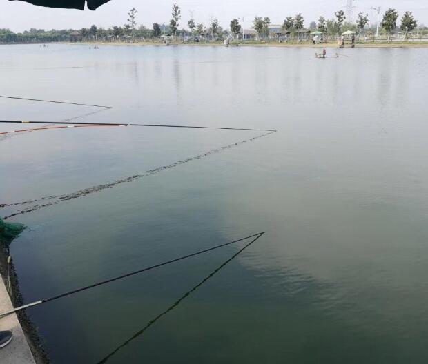 垂釣園水質(zhì)經(jīng)過(guò)EM凈水王處理過(guò)可以養殖更多的魚(yú)